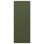 Casa si Gradina - Termice - Sobe, Seminee si accesorii - Accesorii seminee si sobe - Rastel pentru lemne de foc, verde, 60x40x100 cm, otel - Infinity.ro