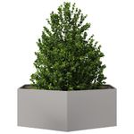 Casa si Gradina - Gradinarit si plante - Plante si ghivece - Ghivece si suporturi - Jardiniera de gradina 138x120x45 cm otel inoxidabil hexagonal - Infinity.ro