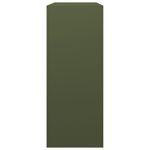 Casa si Gradina - Termice - Sobe, Seminee si accesorii - Accesorii seminee si sobe - Rastel pentru lemne de foc, verde, 100x40x100 cm, otel - Infinity.ro