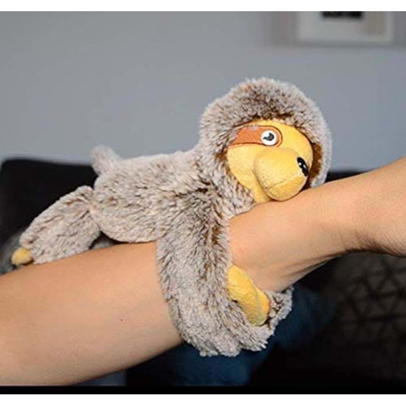 Carti si Birotica - Carti - Carti pentru copii - Carti interactive - Lenesul Meu Somnoros in Cutie - animalut de plus si carticica in limba engleza - Infinity.ro