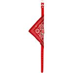 Petshop - Accesorii petshop - Zgarzi, lese si hamuri - Zgarzi - Zgarda cu esarfa pentru caini, Koopman, 37 cm, culoarea rosu - Infinity.ro