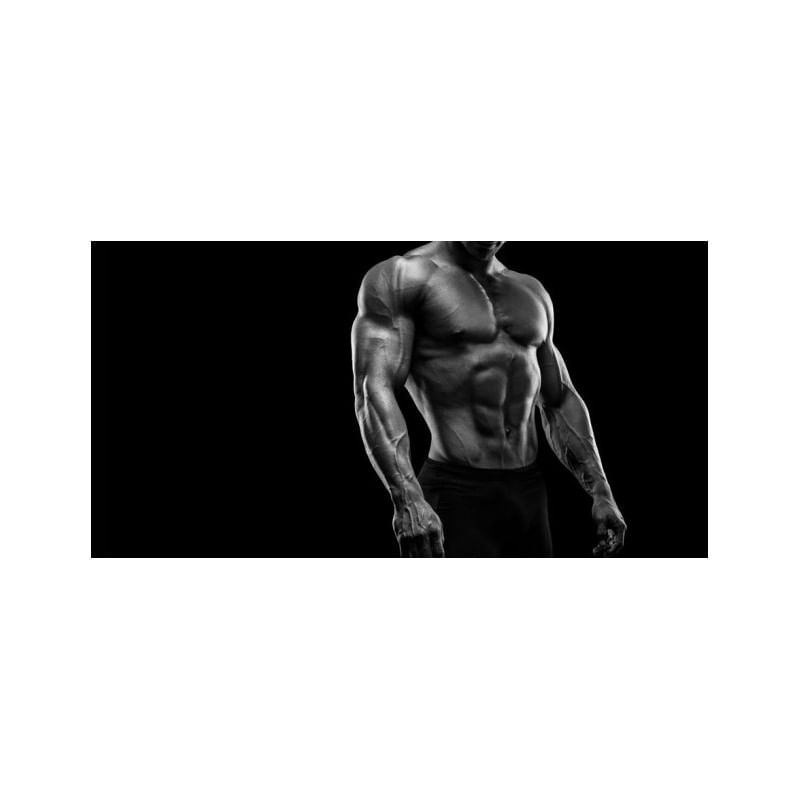 Ingrijire personala si Cosmetice - Sanatate si wellness - Suplimente alimentare - Vitamine si minerale - Pure Nutrition USA Creatina Micronizata 500 grame - Infinity.ro