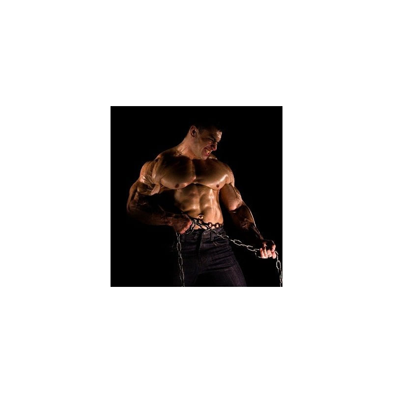 Ingrijire personala si Cosmetice - Sanatate si wellness - Suplimente alimentare - Vitamine si minerale - Pure Nutrition USA Creatina Micronizata 500 grame - Infinity.ro