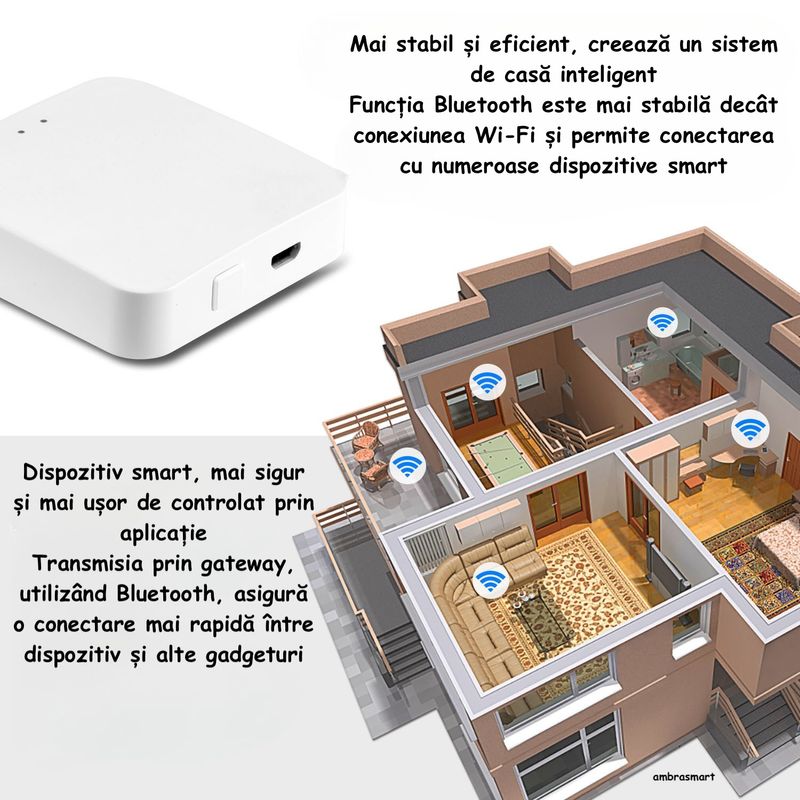 Casa si Gradina - Electrice - Smart Home - Centrale si module smart home - Smart home gateway ambrasmart, Zigbee 3.0, Bluetooth, Temperatura de Lucru -10°C pana la 55°C, Alb, Multifunctional - Infinity.ro