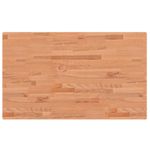 Casa si Gradina - Constructii - Scule de mana si unelte - Mese si bancuri de lucru - Banc lucru 100x60x(71,5-98) cm lemn masiv fag, dreptunghiular, maro închis și alb - Infinity.ro