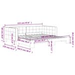 Casa si Gradina - Mobilier - Paturi si accesorii - Paturi - Pat de zi cu extensie, roz, 100x200 cm, catifea - Infinity.ro