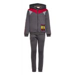 Fashion, accesorii si bijuterii - Copii - Imbracaminte copii - Treninguri si compleuri copii - Trening baieti Harry Potter, model SHU1289 128 CM Gri 8 ani - Infinity.ro