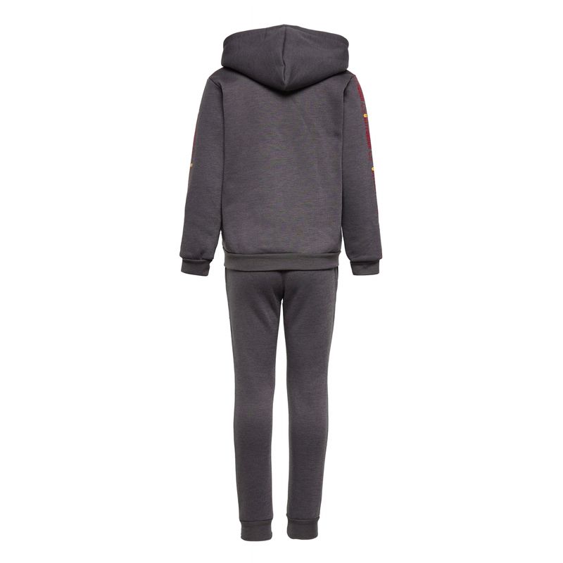 Fashion, accesorii si bijuterii - Copii - Imbracaminte copii - Treninguri si compleuri copii - Trening baieti Harry Potter, model SHU1289 128 CM Gri 8 ani - Infinity.ro