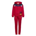 Fashion, accesorii si bijuterii - Copii - Imbracaminte copii - Treninguri si compleuri copii - Trening baieti Harry Potter, model SHU1289 116 CM Rosu 6 ani - Infinity.ro