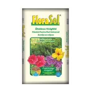 Casa si Gradina - Gradinarit si plante - Intretinere gradina - Infinity.ro