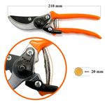 Casa si Gradina - Gradinarit si plante - Unelte gradinarit - Foarfeci gradinarit - Foarfeca gradina, tip bypass, pentru vita de vie, 21 cm, Strend Pro - Infinity.ro