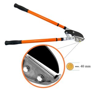 Casa si Gradina - Gradinarit si plante - Unelte gradinarit - Infinity.ro