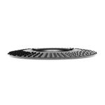 Casa si Gradina - Constructii - Scule electrice si accesorii - Accesorii polizare si slefuire - Disc circular slefuit, modelat, raspel, pentru lemn, plastic, cauciuc, beton celular, gradatie II, 125x22.2 mm, Dedra - Infinity.ro