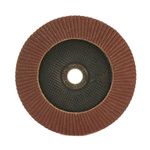 Casa si Gradina - Constructii - Scule electrice si accesorii - Accesorii polizare si slefuire - Abraziv/smirghel lamelar frontal, P40, 125 mm - Infinity.ro