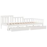Casa si Gradina - Mobilier - Paturi si accesorii - Paturi - Pat de zi cu sertare, 90x190 cm, lemn masiv de pin - Infinity.ro