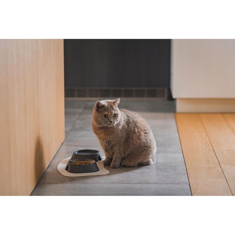 Petshop - Accesorii petshop - Castroane si adapatori - Castron, bol, plat, pentru caine, pisica, suporti antiderapanti, PET reciclat, gri inchis, 13x13x3.6 cm - Infinity.ro