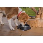 Petshop - Accesorii petshop - Castroane si adapatori - Castron, bol, pentru caine, pisica, suporti antiderapanti, PET reciclat, gri inchis, marime L, 700 ml, 20.4x20.4x5.4 cm - Infinity.ro