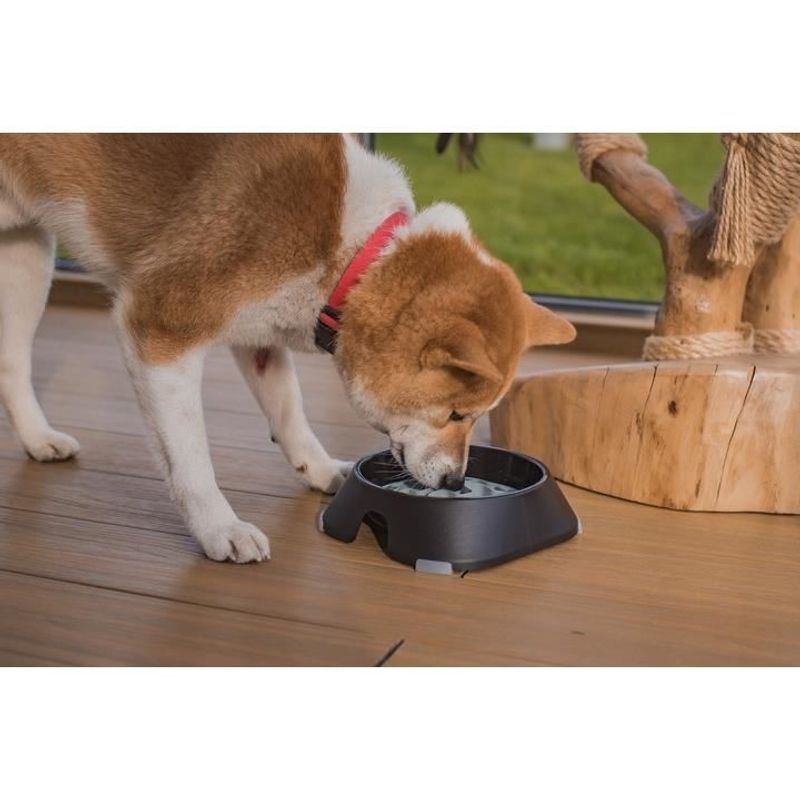 Petshop - Accesorii petshop - Castroane si adapatori - Castron, bol, pentru caine, pisica, suporti antiderapanti, PET reciclat, gri inchis, marime L, 700 ml, 20.4x20.4x5.4 cm - Infinity.ro