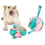 Petshop - Accesorii petshop - Jucarii animale - Jucarii interactive animale - Jucarie pentru caine, tip frisbee/minge, Verk Group, plastic, roz si albastru - Infinity.ro