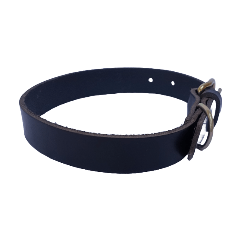 Petshop - Accesorii petshop - Zgarzi, lese si hamuri - Zgarzi - Zgarda pentru caini, piele naturala neagra 60 x 2.5 cm, ajustabila 39-49 cm - Infinity.ro