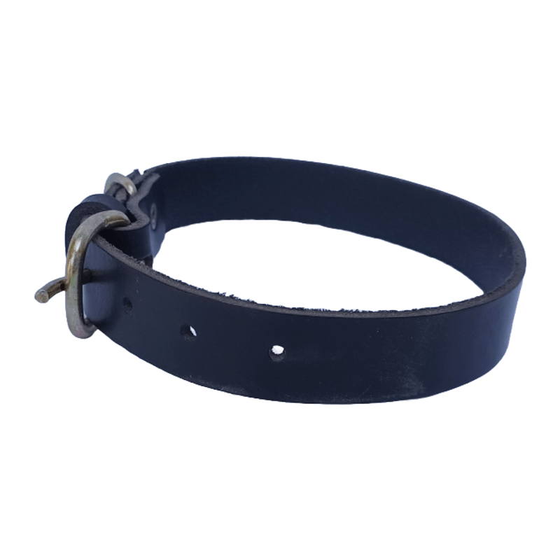 Petshop - Accesorii petshop - Zgarzi, lese si hamuri - Zgarzi - Zgarda pentru caini, piele naturala neagra 60 x 2.5 cm, ajustabila 39-49 cm - Infinity.ro
