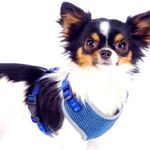 Petshop/Accesorii petshop/Zgarzi, lese si hamuri/Lese - Ham pentru caini de talie mica cu elemente reflectorizante, confortabil, marime XXS, culoare Albastru, AniOne Germany - Infinity.ro