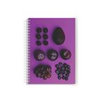 Carti si Birotica - Rechizite - Caiete - Caiete dictando - Caiet spira A4, 200 file, Romana - Infinity.ro