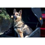 Auto si Moto - Piese auto si accesorii - Caroserie - Ornamente exterior auto - Cutie portbagaj pe carligul de remorcare Towbox V1 DOG Negru - Infinity.ro