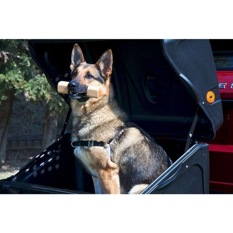 Auto si Moto - Piese auto si accesorii - Caroserie - Ornamente exterior auto - Cutie portbagaj pe carligul de remorcare Towbox V1 DOG Negru - Infinity.ro