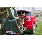 Auto si Moto - Piese auto si accesorii - Caroserie - Ornamente exterior auto - Cutie portbagaj pe carligul de remorcare Towbox V2 DOG Verde - Infinity.ro