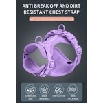 Petshop - Accesorii petshop - Zgarzi, lese si hamuri - Lese - Set 4 piese: zgarda, lesa, ham si dispenser pungi, rezistente la apa si murdarie, calitate premium, Lila, XS - Infinity.ro