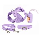 Petshop - Accesorii petshop - Zgarzi, lese si hamuri - Lese - Set 4 piese: zgarda, lesa, ham si dispenser pungi, rezistente la apa si murdarie, calitate premium, Lila, M - Infinity.ro