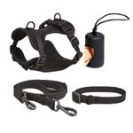 Petshop - Accesorii petshop - Zgarzi, lese si hamuri - Lese - Set 4 piese: zgarda, lesa, ham si dispenser pungi, rezistente la apa si murdarie, calitate premium, Negru, L - Infinity.ro