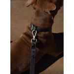 Petshop - Accesorii petshop - Zgarzi, lese si hamuri - Lese - Set 4 piese: zgarda, lesa, ham si dispenser pungi, rezistente la apa si murdarie, calitate premium, Negru, L - Infinity.ro