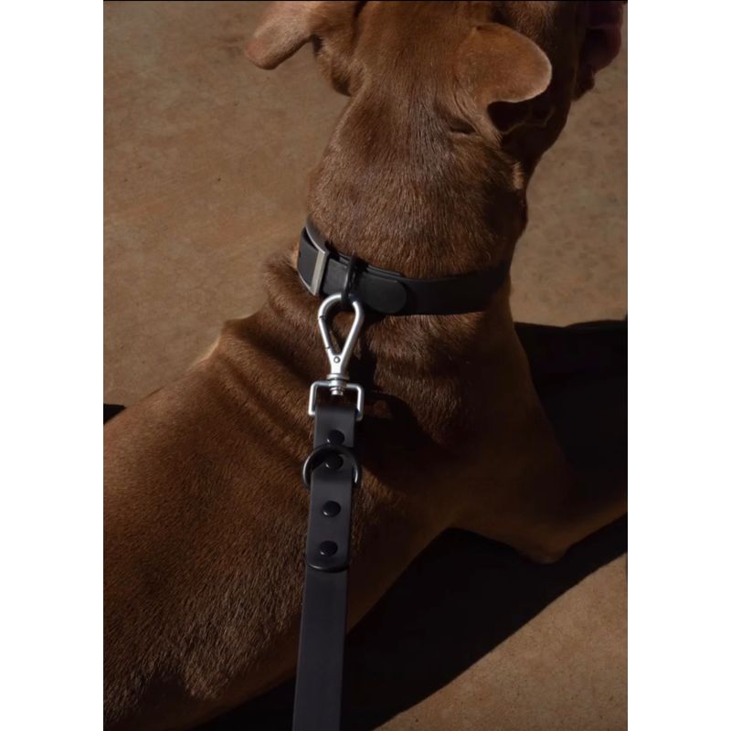 Petshop - Accesorii petshop - Zgarzi, lese si hamuri - Lese - Set 4 piese: zgarda, lesa, ham si dispenser pungi, rezistente la apa si murdarie, calitate premium, Negru, L - Infinity.ro