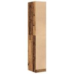 Casa si Gradina - Mobilier - Dulapuri si sifoniere - Dulapuri - Dulap de farmacie, lemn vechi, 30x41x174,5 cm, lemn prelucrat - Infinity.ro