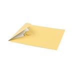 Market - Cadouri - Felicitari - Decoratiune din hartie Magic Pop-Ups Micul print - Infinity.ro