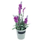 Casa si Gradina - Decoratiuni - Obiecte decorative - Plante artificiale - Lavanda artificiala in ghiveci, 28x9 cm, lila - Infinity.ro