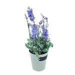 Casa si Gradina - Decoratiuni - Obiecte decorative - Plante artificiale - Lavanda artificiala in ghiveci, 28x9 cm, violet - Infinity.ro