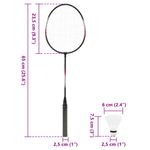 Sport si Outdoor - Sporturi cu paleta - Badminton - Rachete si fluturasi badminton - Set badminton 2 rachete/plasa/cutie de depozitare 292x30x152 cm - Infinity.ro