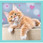 Jucarii, Copii si Bebe - Jucarii si jocuri - Jocuri si puzzle - Puzzle - Puzzle Trefl 3in1 pisicutele dragalase - Infinity.ro