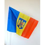 Sport si Outdoor - Sporturi de echipa - Fotbal - Fan shop fotbal - Set 12 Steaguri tricolore cu stema, 30 cm x 45 cm, Romania / flag / drapel - Infinity.ro