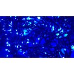 Casa si Gradina - Decoratiuni - Decoratiuni de sezon - Instalatie de Craciun de exterior tip Perdea, 8 m x 1 m, 360 LED-uri, fir negru, cu FLASH, Albastru - Infinity.ro