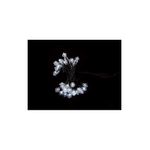 Casa si Gradina - Corpuri si surse de iluminat - Iluminat exterior - Instalatii luminoase exterior - Ghirlanda luminoasa forma de diamant 40 LED-uri albe lumina rece WELL - Infinity.ro