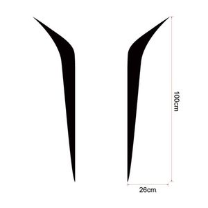 Auto si Moto - Intretinere auto - Stickere auto - Infinity.ro