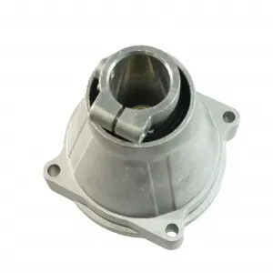 Casa si Gradina - Gradinarit si plante - Infinity.ro