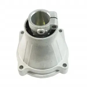 Casa si Gradina - Gradinarit si plante - Infinity.ro