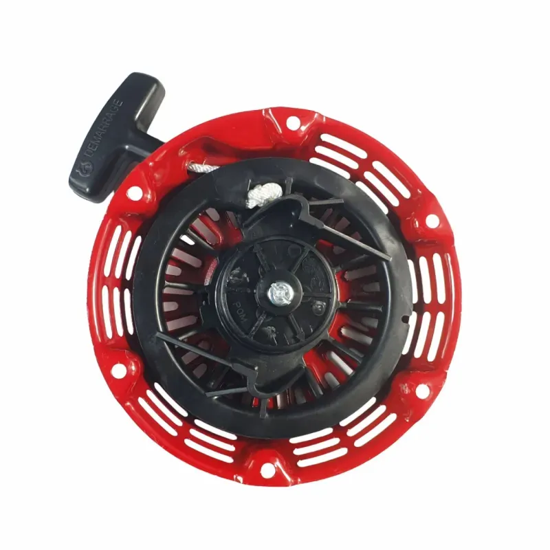 Casa si Gradina - Gradinarit si plante - Instalatii si accesorii pentru irigatii - Pompe apa - Demaror generator - Infinity.ro