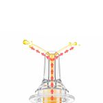 Jucarii, Copii si Bebe - Hrana si alaptare - Biberoane, suzete si accesorii hranire - Articole hranire bebelusi - Dispozitiv gradat antivomitiv administrare medicamente bebelusi si copii, “Culori Pastelate”, transparent, mediLOGIC - Infinity.ro