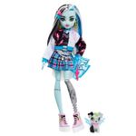 Jucarii, Copii si Bebe - Jucarii si jocuri - Papusi si accesorii - Papusi - Monster high papusa frankie stein cu animalut si accesorii - Infinity.ro